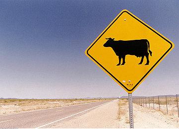 塔防游戏《末日的旋转城堡》Steam页面上线 支持简中